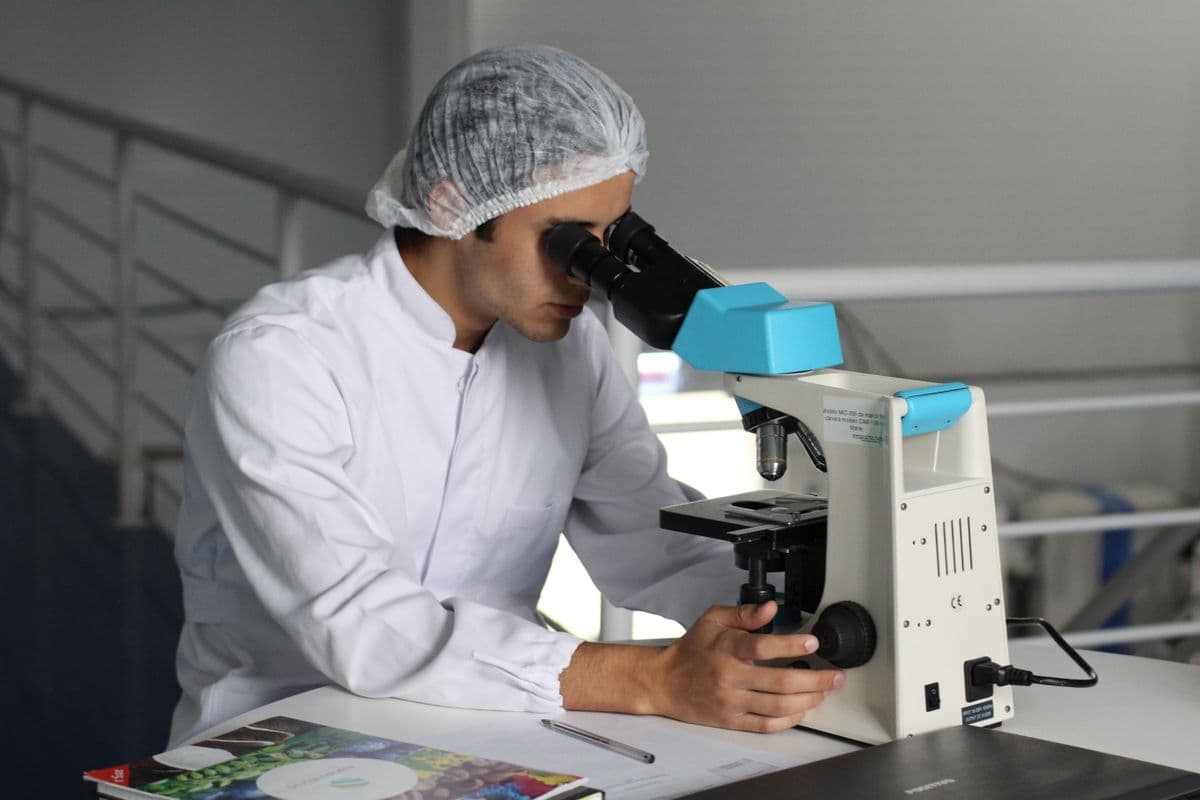 cGMP Compliance in Chemical Manufacturing